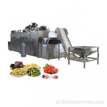 Máquinas de processamento de vegetais de frutas